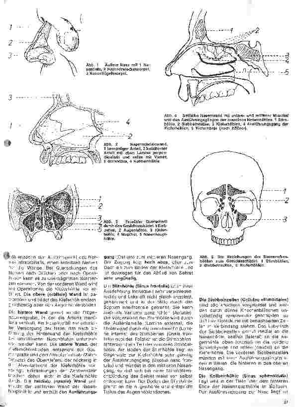 Vorschauseite 2: Einführung in die Hals-Nasen-Ohren-Heilkunde 7.Folge: Anatomie und Physiologie der Nase // Untersuchungsmethoden und Funktionsprüfung