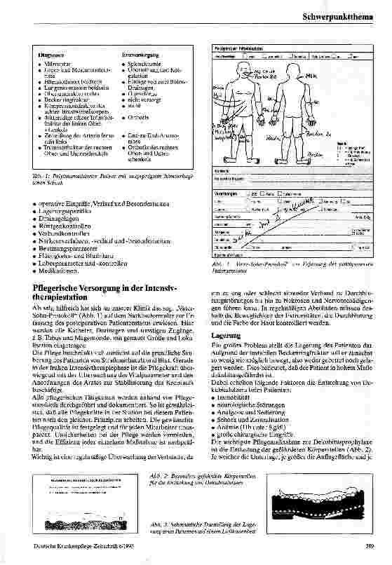 Vorschauseite 2: Pflege polytraumatisierter Patienten anhand eines Fallbeispiels