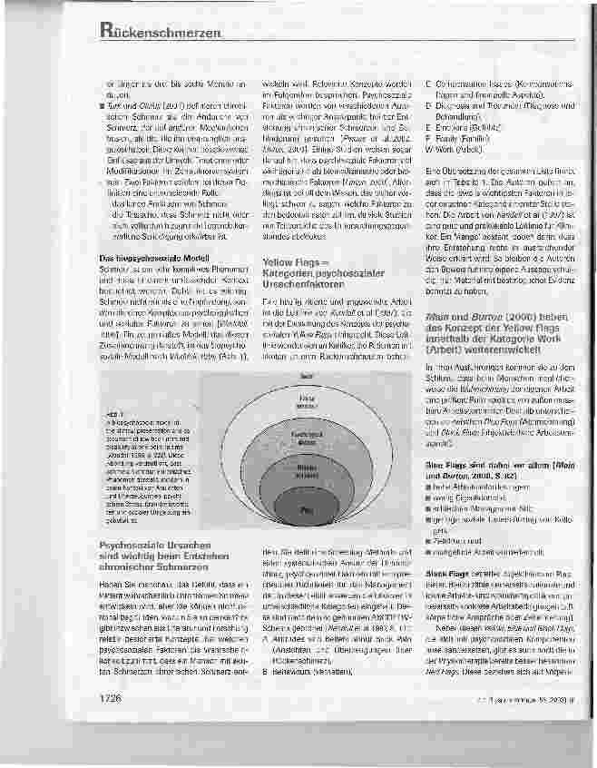 Vorschauseite 2: Psychosoziale Faktoren bei der Entstehung chronischer unterer Rückenschmerzen
