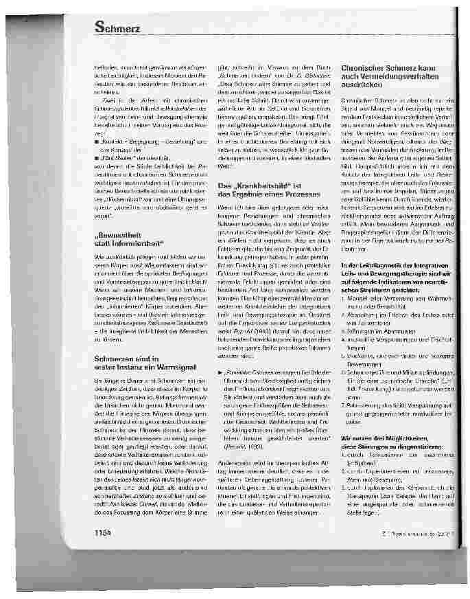 Vorschauseite 2: Drei Wünsche frei - Chronischer Schmerz und Zivilisation