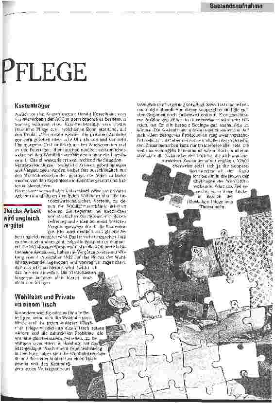 Vorschauseite 2: Lücken in der Häuslichen Pflege Möglichkeiten zur Verbesserung der Pflegesituation
