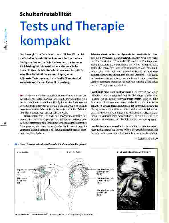 Vorschauseite 1: Schulterinstabilität Tests und Therapie kompakt