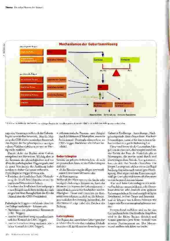 Vorschauseite 3: Die normale Geburt als etwas Besonderes - oder: Die besondere Geburt als etwas Normales?