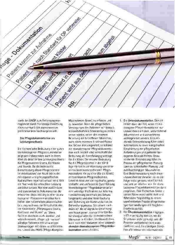 Vorschauseite 2: Formale und fachliche Anforderungen am eine stomabezogene Pflegedokumentation