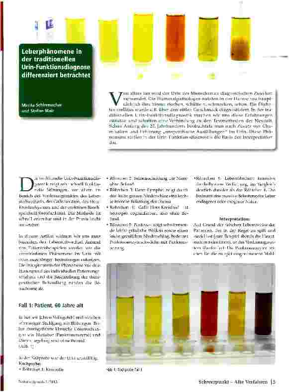 Vorschauseite 1: Leberphänomene der traditionellen Urin-Funktionsdiagnose differenziert betrachtet