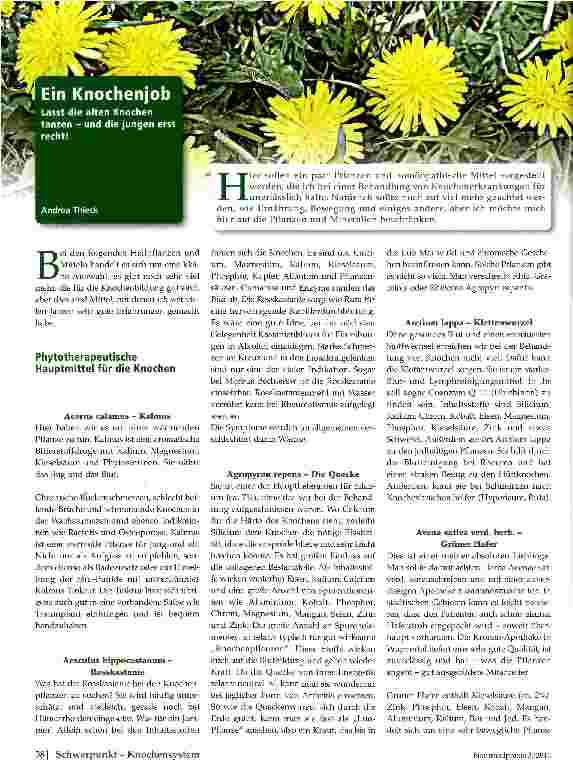 Vorschauseite 1: Ein Knochenjob
