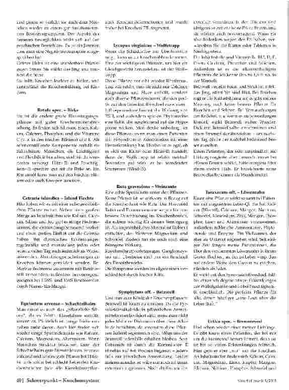 Vorschauseite 2: Ein Knochenjob