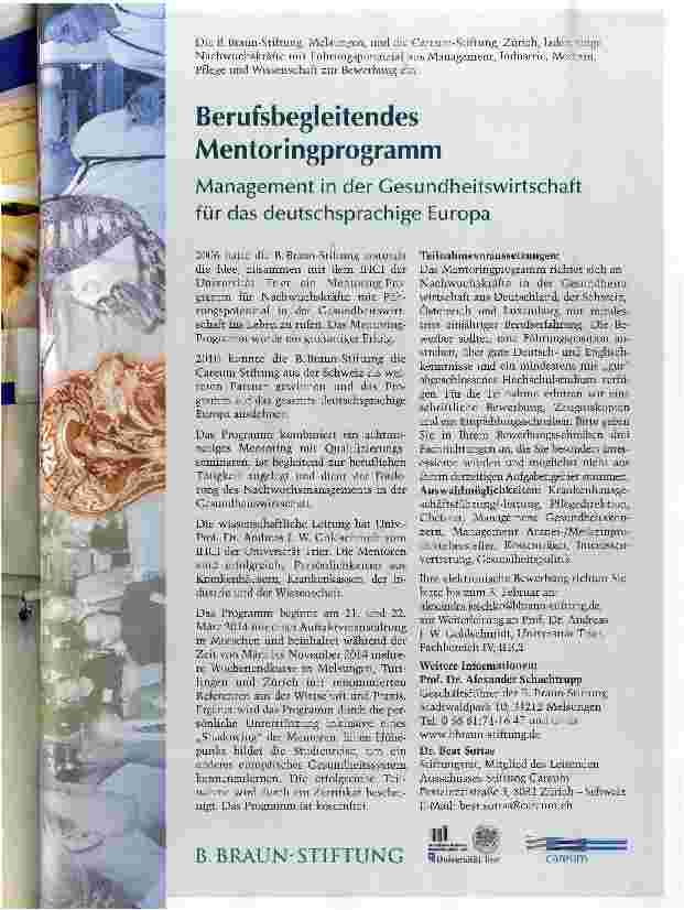 Vorschauseite 1: Berufsbegleitendes Mentoringprogramm