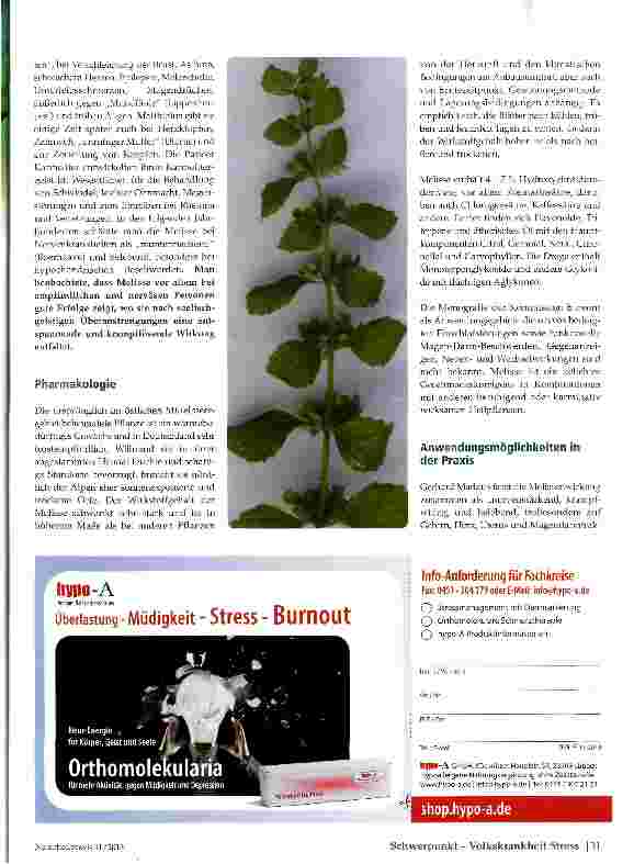 Vorschauseite 2: Melissa officinalis- Nervinum und lokales Virustatikum