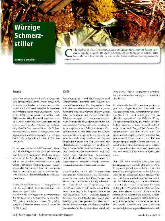 Vorschauseite 1: Würzige Schmerzstiller