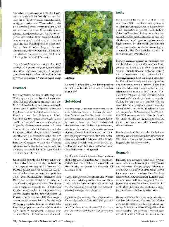 Vorschauseite 3: Würzige Schmerzstiller