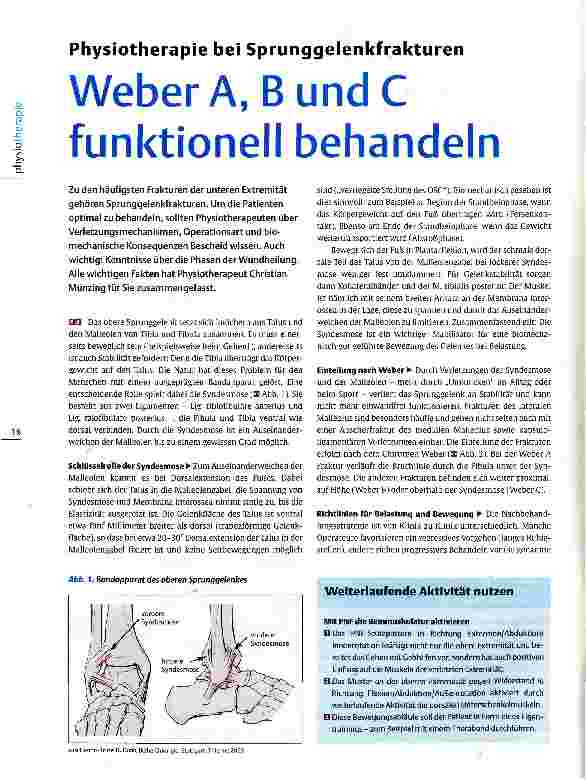 Vorschauseite 1: Physiotherapie bei Sprunggelenkfrakturen Weber A, B und C funktionell behandeln