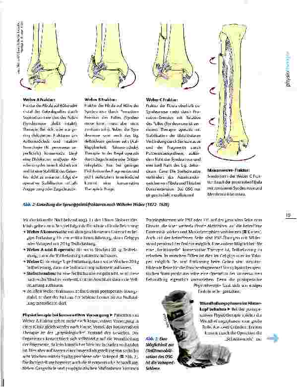 Vorschauseite 2: Physiotherapie bei Sprunggelenkfrakturen Weber A, B und C funktionell behandeln