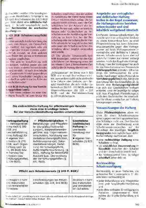 Vorschauseite 2: Pflichtwidrigkeiten bei der Berufstätigkeit können weitreichende haftungsrechtliche Folgen nach sich ziehen