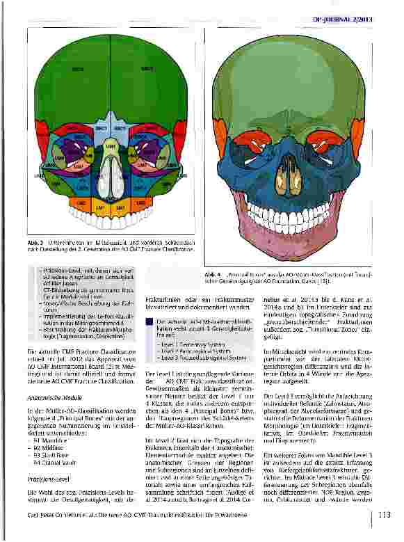 Vorschauseite 5: Die neue AO-CMF-Traumaldassifikation für Erwachsene -Überblick, Präzisions-Level und anatomische Module für Unterkiefer, Kiefergelenkfortsätze, Mittelgesicht und Orbita