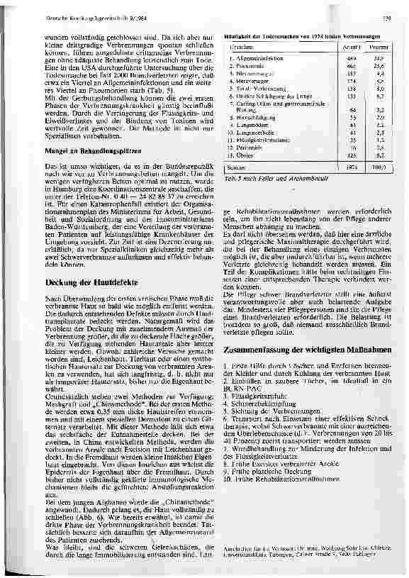 Vorschauseite 5: Die Versorgung Brandverletzter im Katastrophenfall