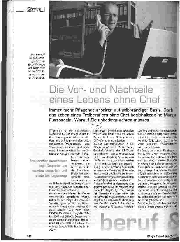 Vorschauseite 1: Die Vorund Nachteile eines Lebens ohne Chef