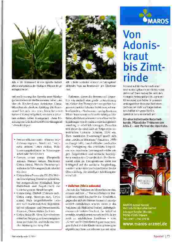 Vorschauseite 4: Heilkräuter des Frühlings in der Kinderheilkunde