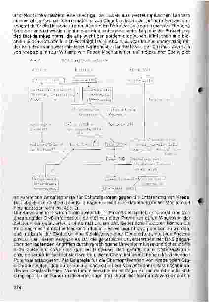 Vorschauseite 3: Einfluss von Fettverzehr und Ballaststoffgehalt der Nahrung auf die Entstehung von Dickdarmkrebs
