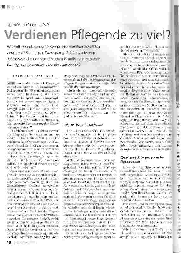 Vorschauseite 1: Verdienen Pflegende zu viel ?Identität, Funktion, Gehalt