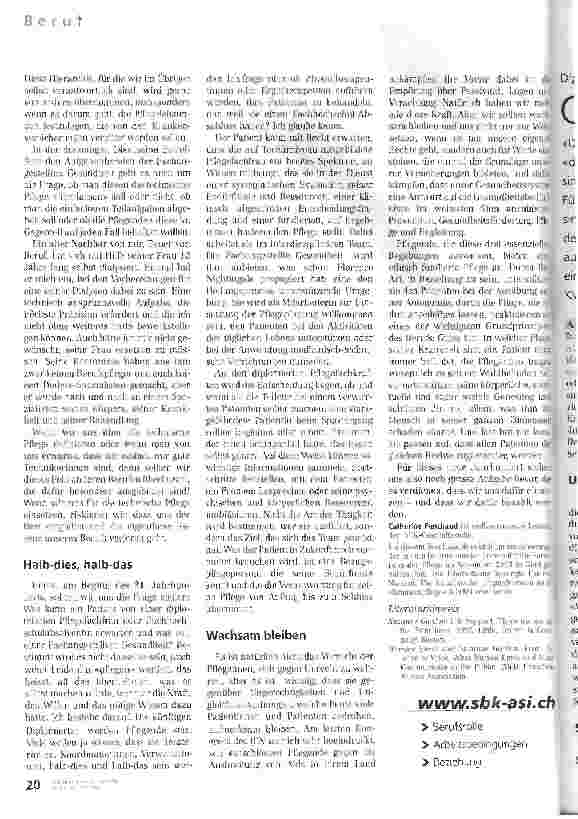 Vorschauseite 3: Verdienen Pflegende zu viel ?Identität, Funktion, Gehalt
