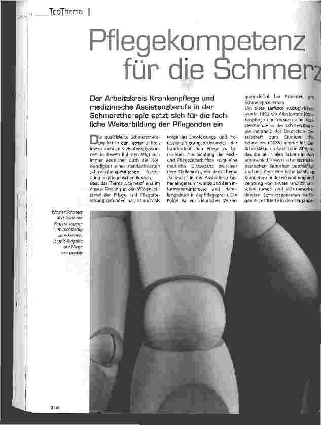Vorschauseite 1: Pflegekompetenz für die Schmerztherapie