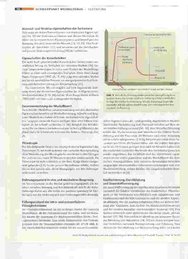 Vorschauseite 3: Biophysikalisch passiver und neurophysiologisch aktiver Muskeltonus?