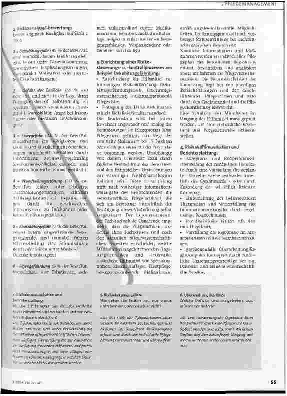 Vorschauseite 2: Riskmanagement in der Pflege Gefahr erkannt - Gefahr gebannt