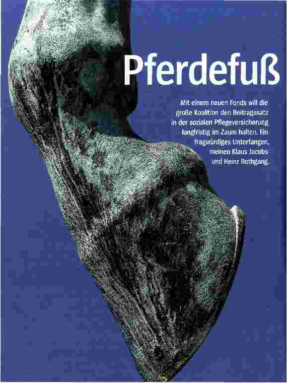 Vorschauseite 1: Pferdefuß beim Pflegefonds