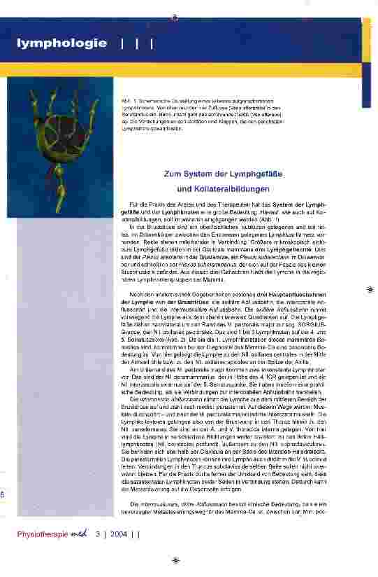 Vorschauseite 2: Grundlagen der Lymphologie Anatomie der Mamma