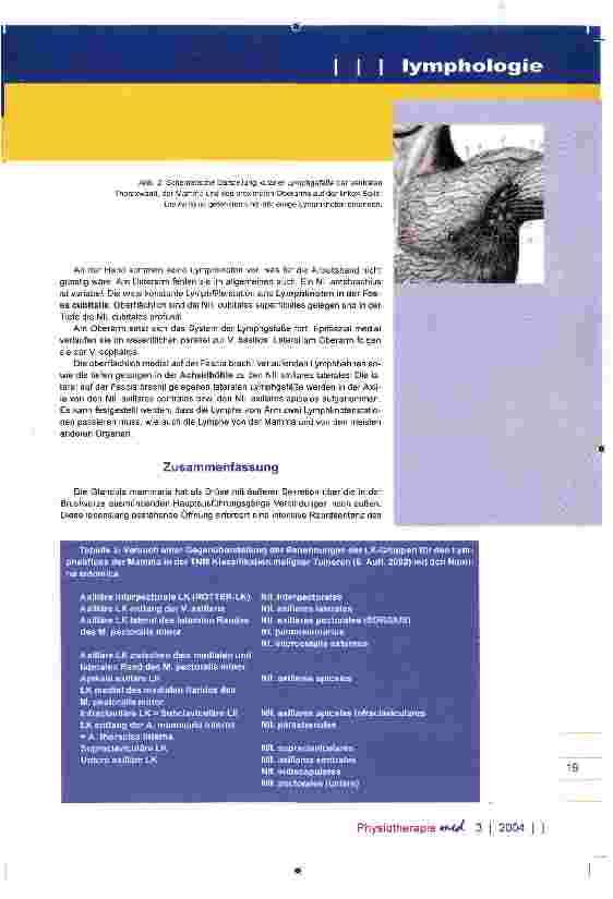 Vorschauseite 5: Grundlagen der Lymphologie Anatomie der Mamma