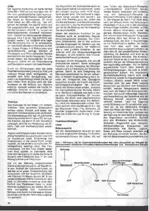 Vorschauseite 2: Einfluß der Ernährung auf Gesundheit und Leistungsfähigkeit 9. Folge: Leber, Galle, Pankreas 1. Teil