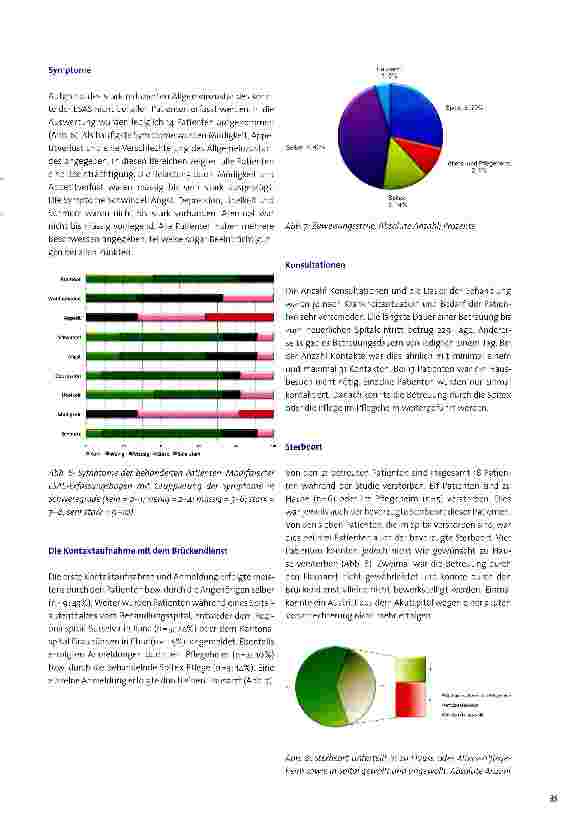 Vorschauseite 3: Prospektive Beobachtungsstudie über die behandelten Patienten des Brücken dien st es der Region Surselva