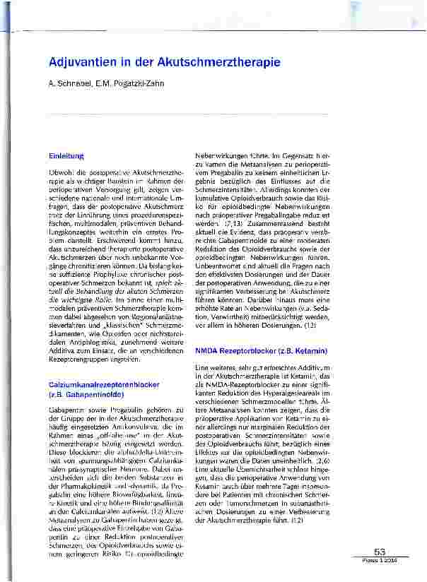 Vorschauseite 1: Adjuvantien in der Akutschmerztherapie