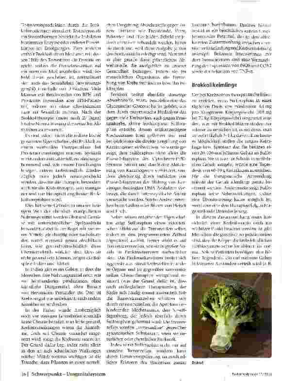 Vorschauseite 2: Brokkoli bei Prostataerkrankungen