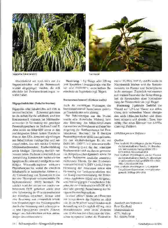Vorschauseite 4: Brokkoli bei Prostataerkrankungen