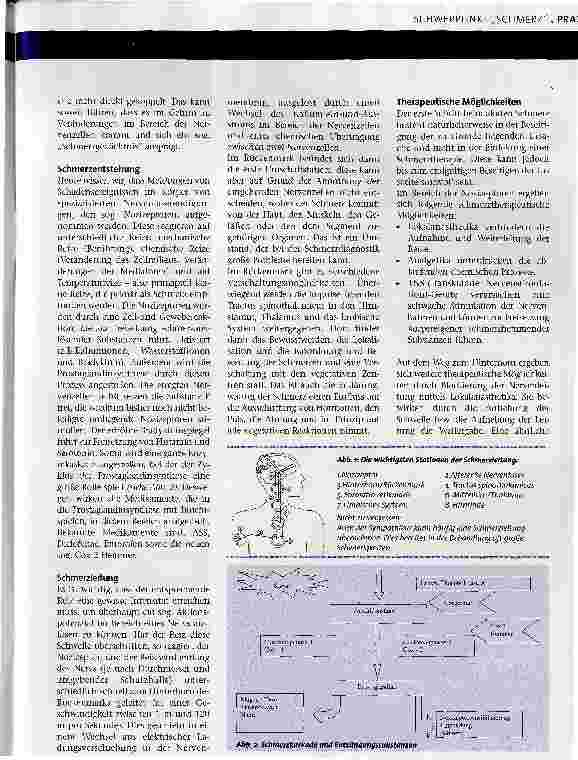 Vorschauseite 2: Schmerz, Entstehung und Therapie