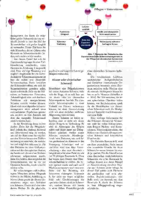 Vorschauseite 2: NEUER EXPERTENSTANDARD: CHRONISCHE SCHMERZEN
