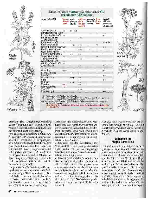 Vorschauseite 3: Ätherische Öle Wirkung oder Einbildung
