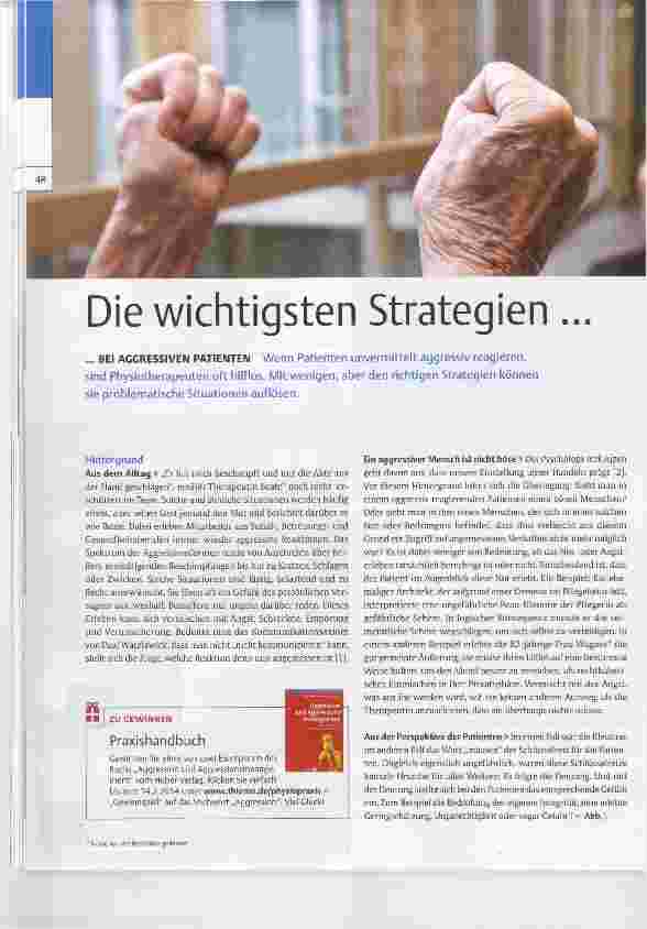 Vorschauseite 1: Die wichtigsten Strategien