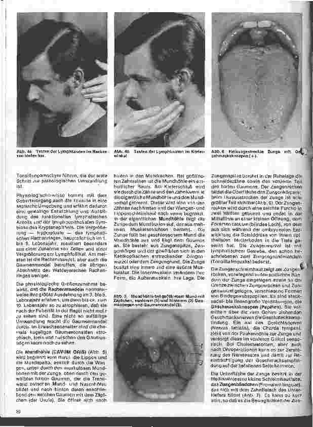 Vorschauseite 3: Einführung in die Hals - Nasen - Ohren - Heilkunde 13. Folge: Rachen und Mundhöhle