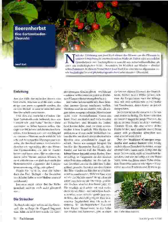 Vorschauseite 1: Beerenherbst Eine Gartenstauden-Übersicht