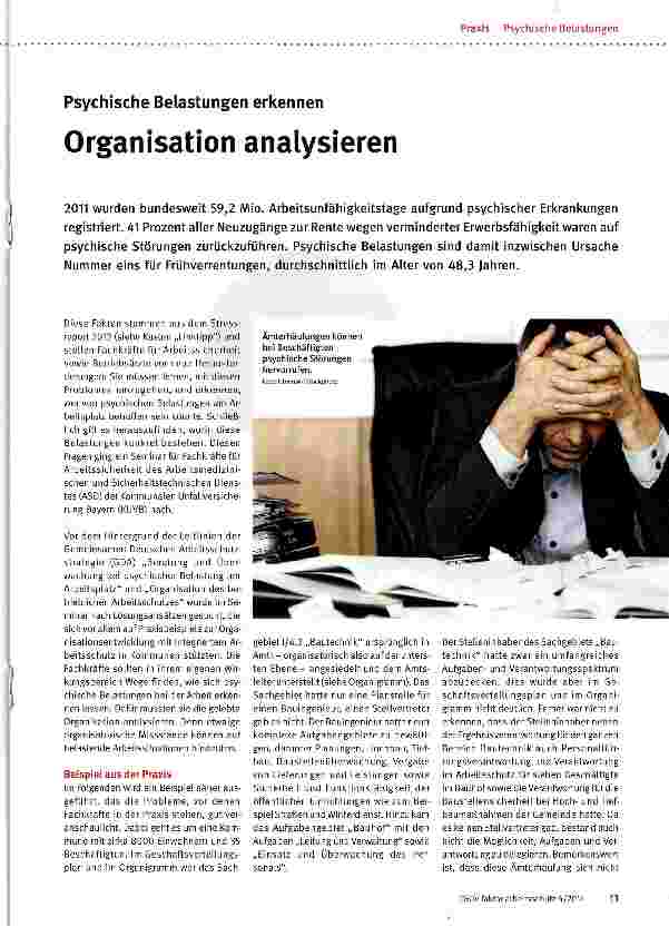 Vorschauseite 1: Organisation analysieren
