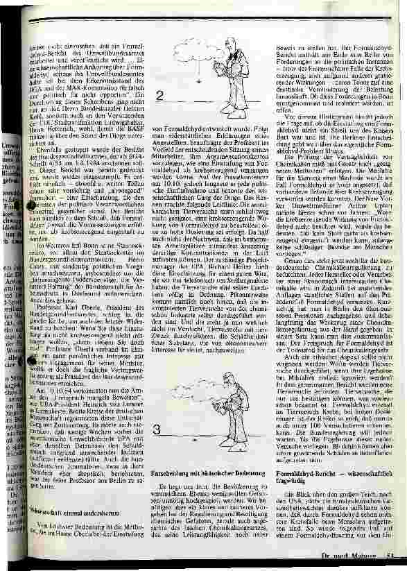 Vorschauseite 2: Formaldehyd und kein Ende