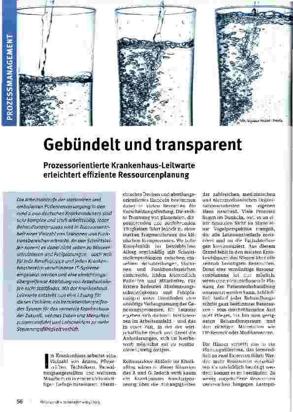 Vorschauseite 1: Gebündelt und transparent