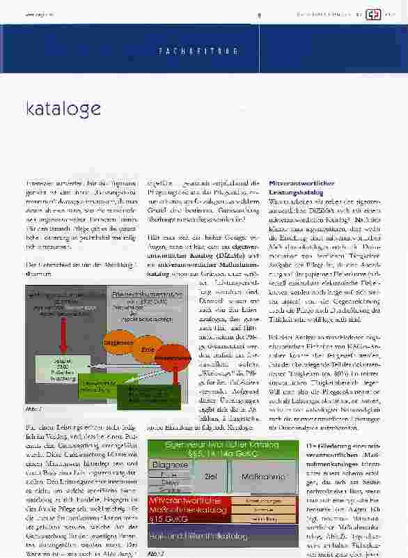 Vorschauseite 2: strategie und entwicklung von pflegedokumentationskatalogen für ein elektronisches dokumentationssystem