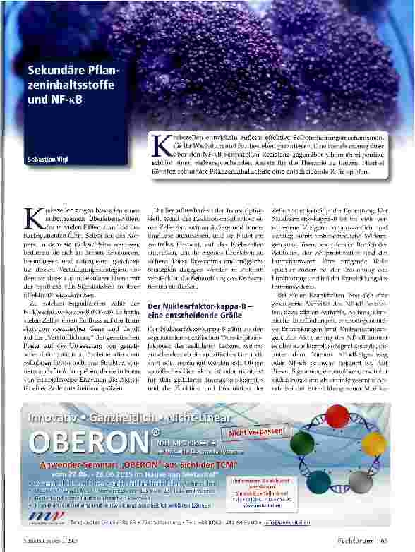Vorschauseite 1: Sekundäre Planzeninhaltsstoffe und NF-B