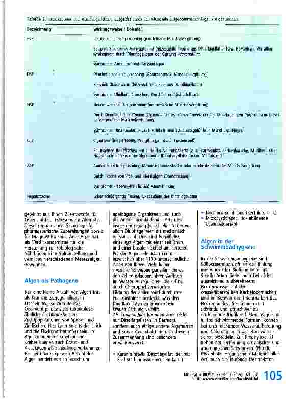 Vorschauseite 3: Algen und ihre Bedeutung für die Humanhygiene