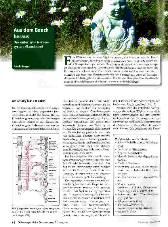 Vorschauseite 1: Aus dem Bauch heraus