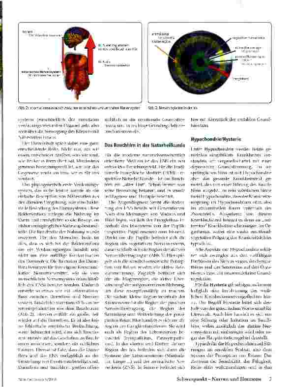 Vorschauseite 2: Aus dem Bauch heraus